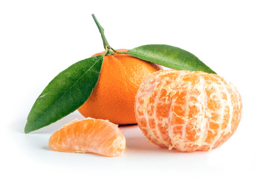 Sweet Valley Citrus Satsuma