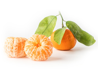 Sweet Valley Citrus Satsuma